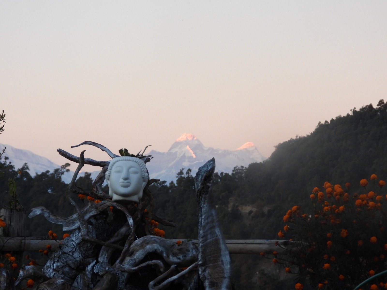 Aranya Stays Jageshwar